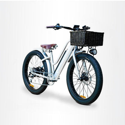 VALLKREE STREET GYPSIE STEP-THRU ELECTRIC BIKE