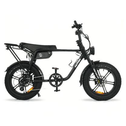 FATFISH FAT TYRE EBIKE